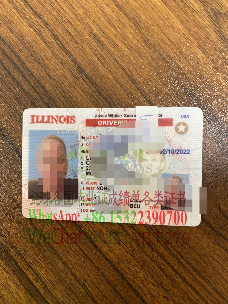 伊利诺伊州驾驶执照作假 伊利诺伊州驾驶执照作假