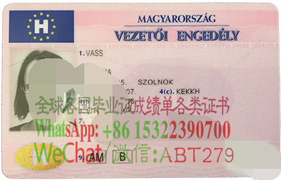 匈牙利驾驶执照怎么办假 匈牙利驾驶执照怎么办假