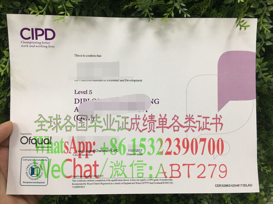 哪里能仿制CIPD英国特许人事与发展协会证书 哪里能仿制CIPD英国特许人事与发展协会证书