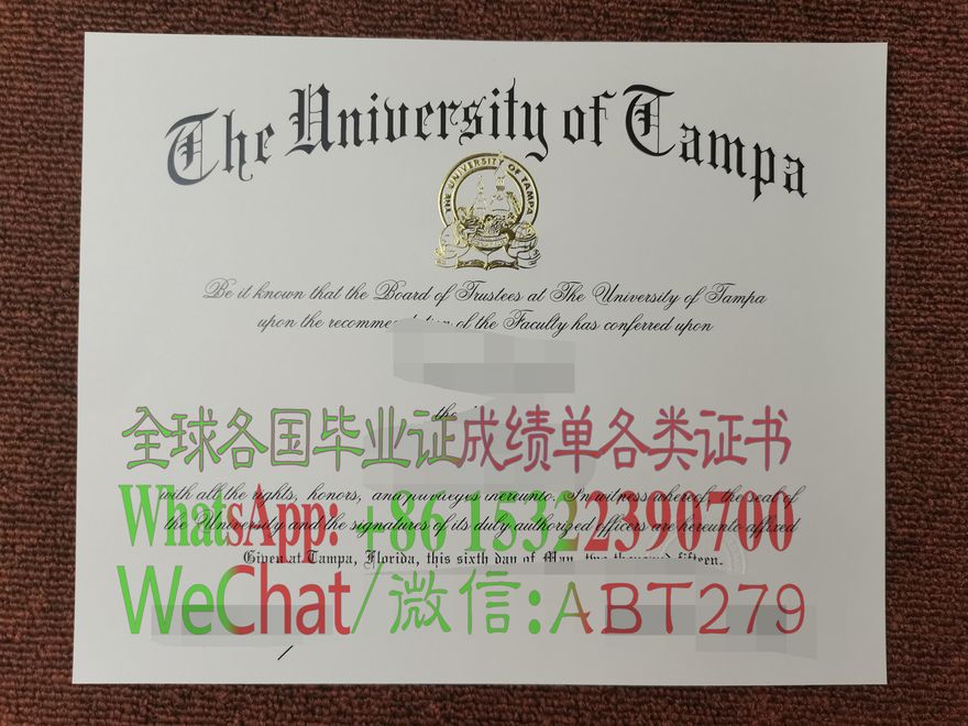 坦帕大学文凭假的多少钱 坦帕大学文凭假的多少钱