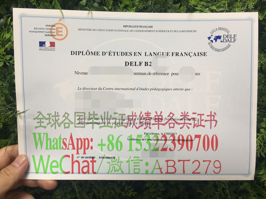 怎么办假DELF-DALF法语文凭 怎么办假DELF-DALF法语文凭