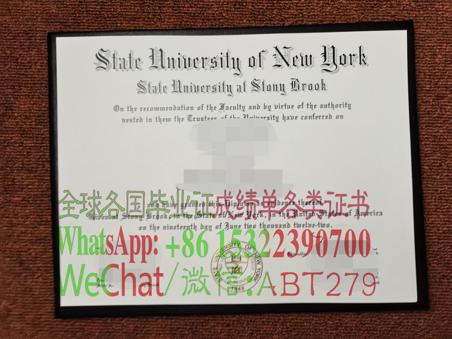 纽约州立大学石溪分校学位证书哪里能做 纽约州立大学石溪分校学位证书哪里能做