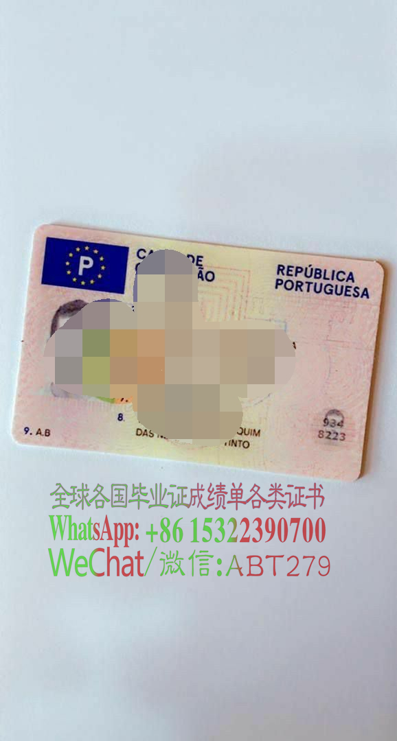 葡萄牙驾驶执照哪里能仿制 葡萄牙驾驶执照哪里能仿制