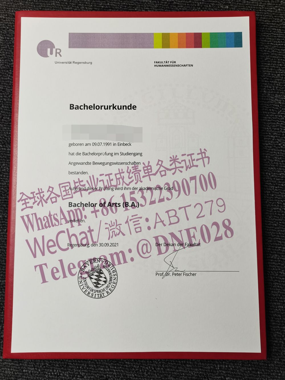 办理购买德国雷根斯堡大学毕业证成绩单 办理购买德国雷根斯堡大学毕业证成绩单