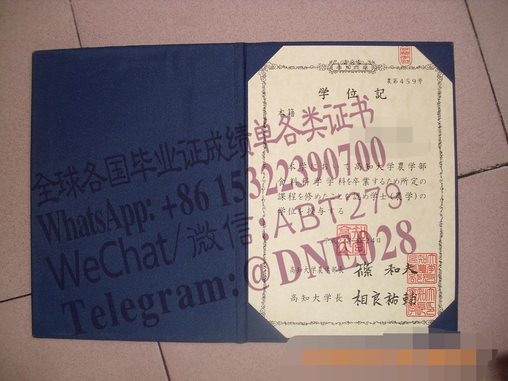办理购买日本高知大学毕业证成绩单 办理购买日本高知大学毕业证成绩单