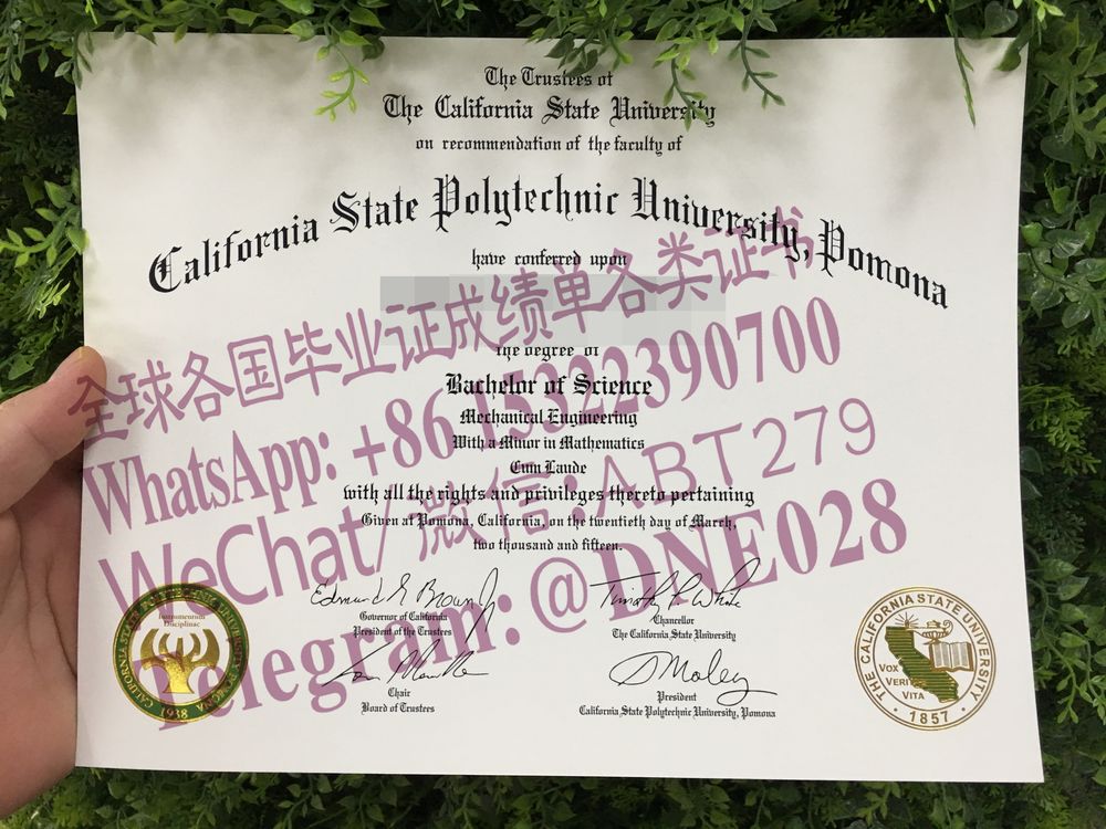 办理购买美国加州州立大学波莫纳加州州立理工大学毕业证成绩单 办理购买美国加州州立大学波莫纳加州州立理工大学毕业证成绩单