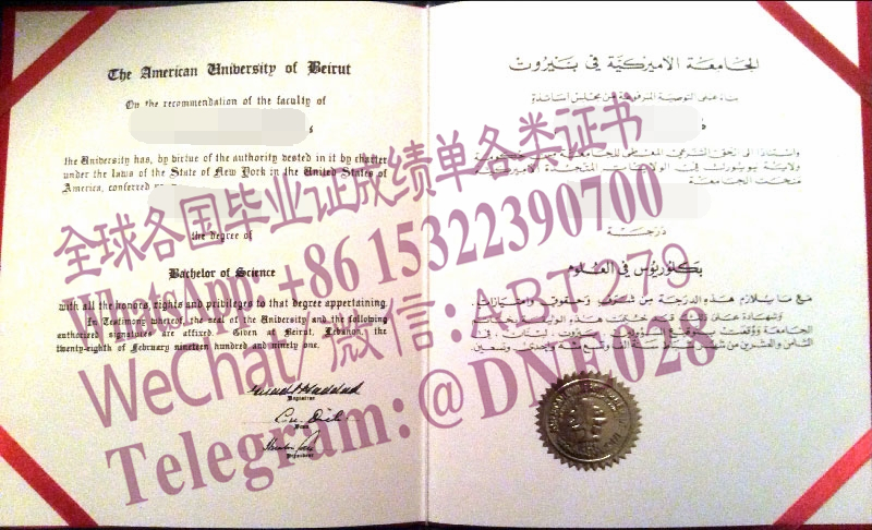 办理购买黎巴嫩贝鲁特美国大学成绩单 办理购买黎巴嫩贝鲁特美国大学成绩单