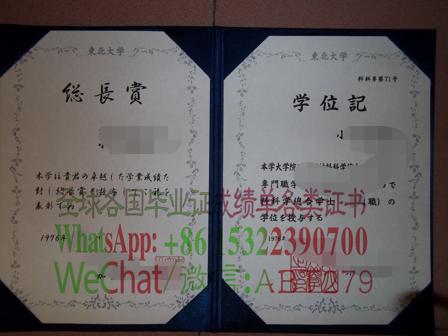 日本东北大学毕业证哪里能仿制